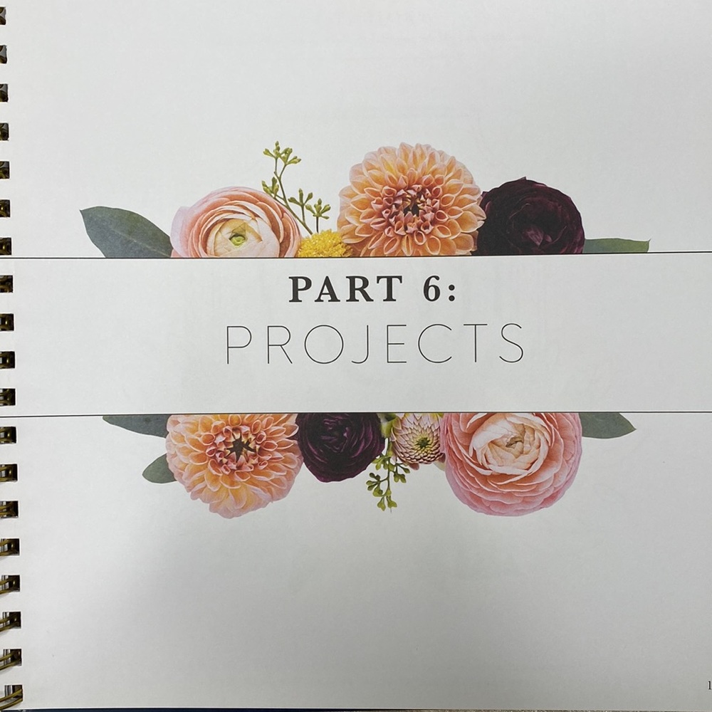 🩷🩵Pretty Simple Lettering - Picture 10 of 14
